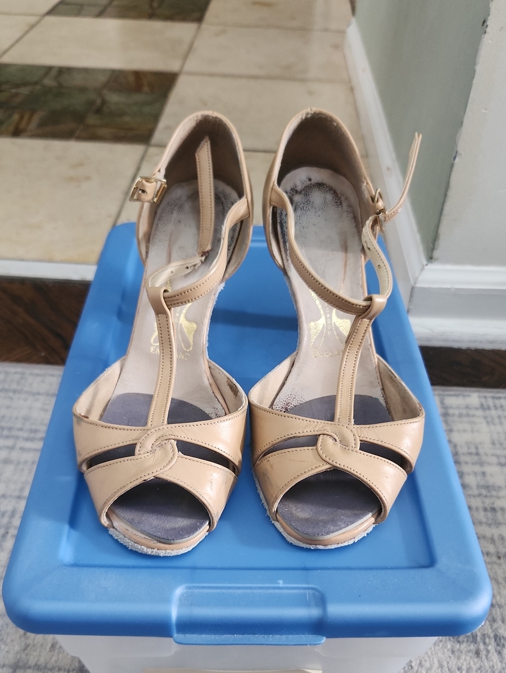 Women’s T-Strap Peep-Toe Ballroom Heels in Nude
